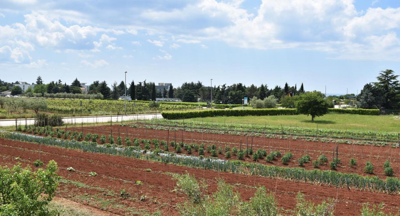 Apartmani Diana Novigrad Istria 外观 照片