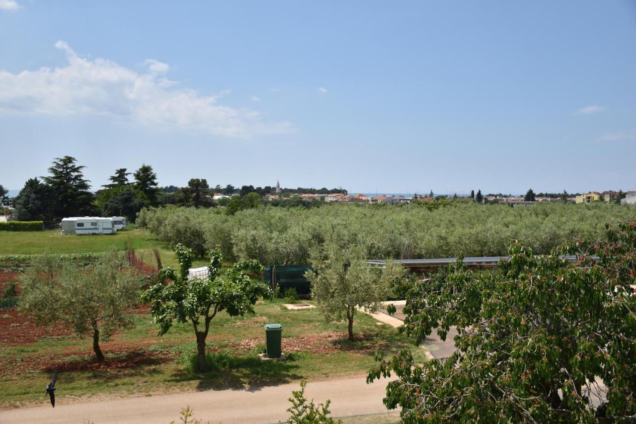 Apartmani Diana Novigrad Istria 外观 照片