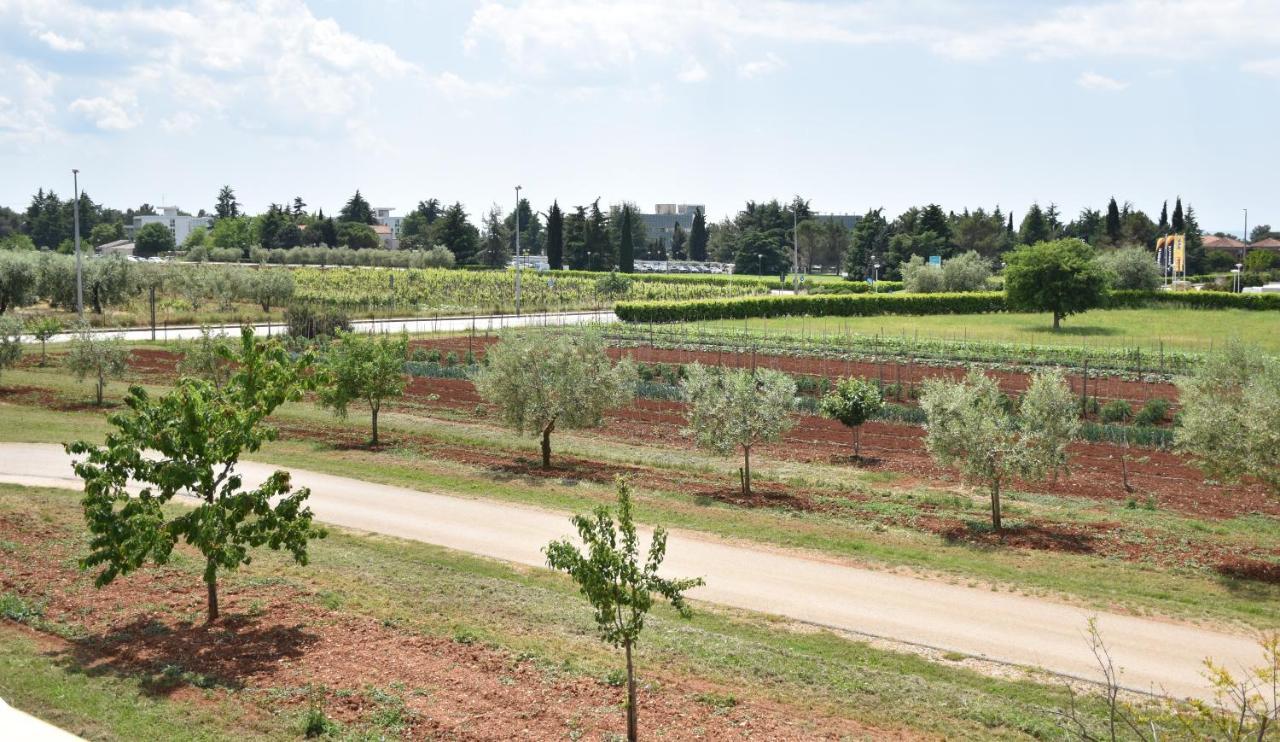 Apartmani Diana Novigrad Istria 外观 照片