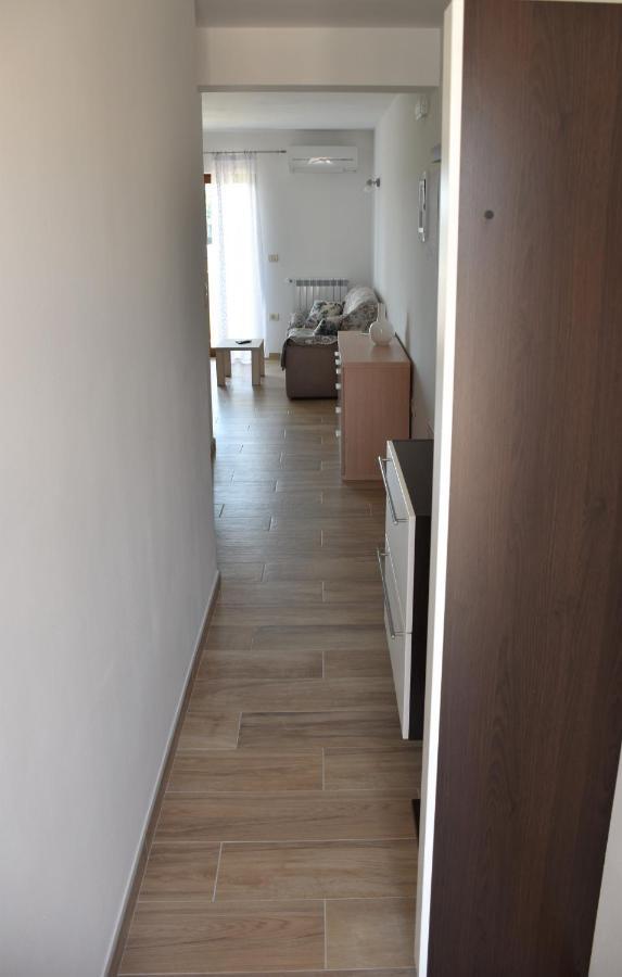 Apartmani Diana Novigrad Istria 外观 照片